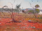 Bruce Malloch -   Working the Lease  (Goldfields WA)